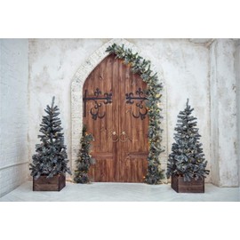 Laeacco Christmas Theme Backdrop 10x8ft Vintage Arch Wooden Door Front Xmas Trees Plain Lime Wall Photography Background Xmas Party Banner Winter Theme Wedding Child Kids Baby Portrait Shoot Wallpaper