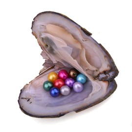 1PC Freshwater Pearl Oyster with 10 Mix Color Round Love Wish Pearls Inside Meaningful Color (6-8mm), Valentines Mothers Day Birthday Gifts Oysters with Pearls Inside (Total 10 Pearls)