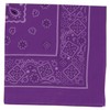 Artec 001247 Purple Bandana
