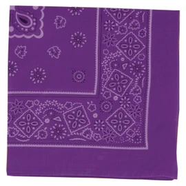 Artec 001247 Purple Bandana