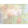 Tree-Free Greetings Memories Overflowing Tree-Free Greetings Sympathy Card