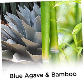 Air Wick Air Wick Plug in Scented Oil Refill, 5 ct, Blue Agave and Bamboo, Air Freshener, Essential Oils