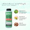 SAUCE BEAUTY Intense Repair Shampoo - Chimichurri Mint Tingle Hair