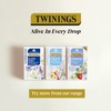 Twinings Superblends Sleep Tea - Spiced Apple & Vanilla Herbal