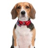 Faleela Cotton Plaid Shirt Style Dog Collar Soft Cute,Boy Dog