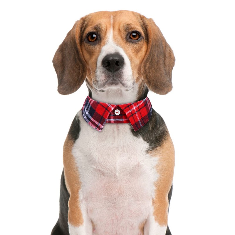 Faleela Cotton Plaid Shirt Style Dog Collar Soft Cute,Boy Dog