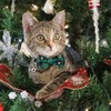 Set of 2 Christmas Pet Collars with Safety Buckle, Adjustable