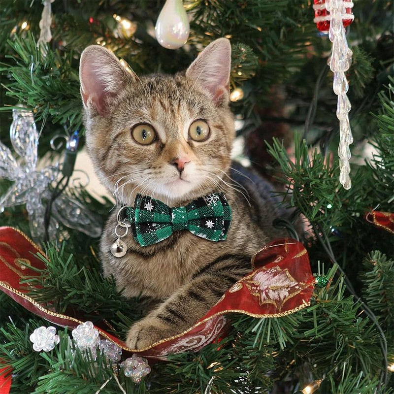 Set of 2 Christmas Pet Collars with Safety Buckle, Adjustable