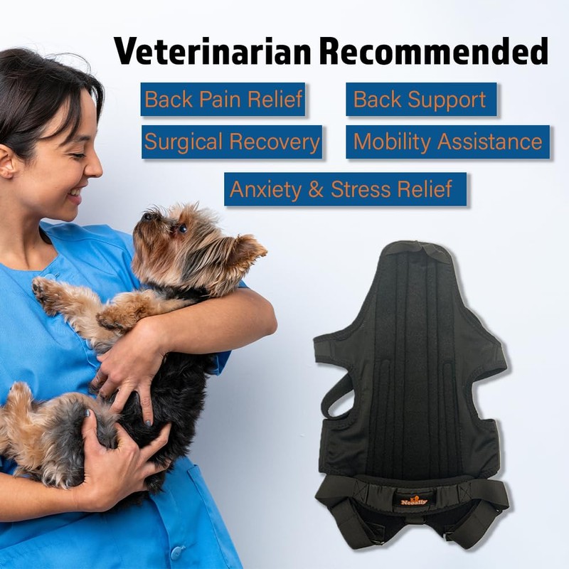 NeoAlly Dog Back Brace for Dogs Arthritis, IVDD, Spinal Surgical