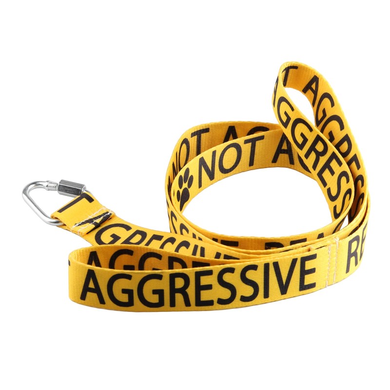 Reactive Not Aggressive Dog Lead Dog Leash Dot Not Pet