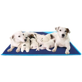 SparklyPets - Square Dog Mat for Crate - Waterproof Reusable Pad for Dog House, Cage, Playpen, Whelping Box Floor - Washable Puppy Pad, Machine Washing Compatible