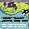 Marafiki Liposomal Bovine Colostrum Supplement - Grass Fed Colostrum Powder