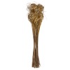 Vickerman 678879-24"-28" Curly Ting Ting Gold bunch 5/Pk (H7CTT008) Dried