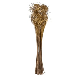 Vickerman 678879-24"-28" Curly Ting Ting Gold bunch 5/Pk (H7CTT008) Dried and Preserved Pods