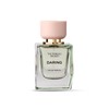 Victoria's Secret Daring Eau de Parfum, Notes of Bright Bergamot,