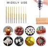 Micro Twist Drill Bit Set - 10Pcs 0.6mm-2.2mm Tiny Drill