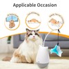 DOEL Cat Toys Interactive for Indoor, Rechargeable Automatic Rotating Feather