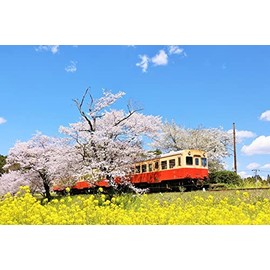Postcard of Japanese Scenery in Chiba Prefecture Spring Kominato Railway Postcard Photo by YOSHIO IWASAWA
