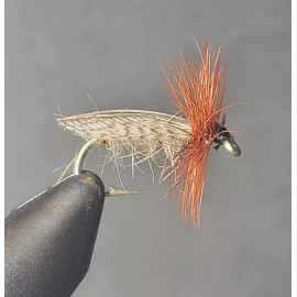 My Own EUROPA CADDIS DRY Fly Fishing Fly Flies, 1 Fly, You Choose Size - Size 12