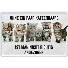 Tin Sign Funny Saying & Motif "Ohne EIN Paar Katzenhaare ist." Decorative Cat Humour Cat Sign Door Sign Metal Sign Funny Gift for Birthday or Christmas 20 x 30 cm
