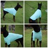 LoveLongLong Spring Summer Cooling Dog T-Shirt with UV Protection and