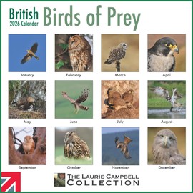 ALLTRADE Calendar 2026 British Birds of Prey 2026 Calendar UK Holidays Large Premium Wall MADE IN BRITAIN® on FSC® Paper Photos by LAURIE CAMPBELL Supports The Woodland Trust Tree Planting Great Gift
