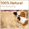 Greaton Premium Natural Pine Animal Bedding - Dust-Free, Soft Shavings,