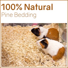 Greaton Premium Natural Pine Animal Bedding - Dust-Free, Soft Shavings, Kiln-Dried & Heat-Treated for Indoor and Outdoor Pets