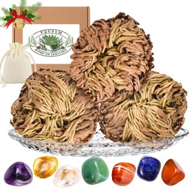 13Pcs Rose of Jericho & Healing Crystals Set - Rosa de Jerico Original Gift for Christmas, Natural Polished Crystals, Dried Fern Like Scale Leaf Prayer Plants, Home Decor, Plate Included
