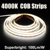 Tira de luces LED COB USB