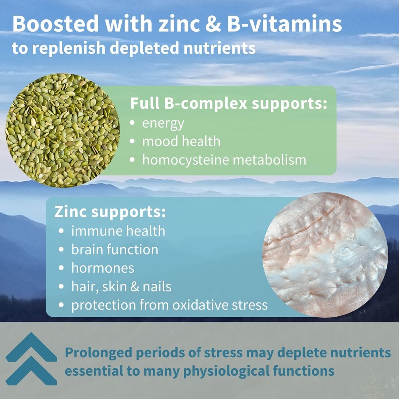 Igennus Advanced Ashwagandha KSM-66 Stress Support Complex 600mg with L-Theanine