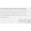 Bigelow Caramel Apple Black Tea Bags, 18 Teabags (Pack of