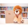 EUGENE & CO. Lion Plush |30cm(11.8inch) Soft Stuffed Lion Bear