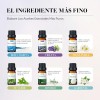 Kaisasa Kit De 12 Aceites Esenciales Aromaterapia Natural Estilo B