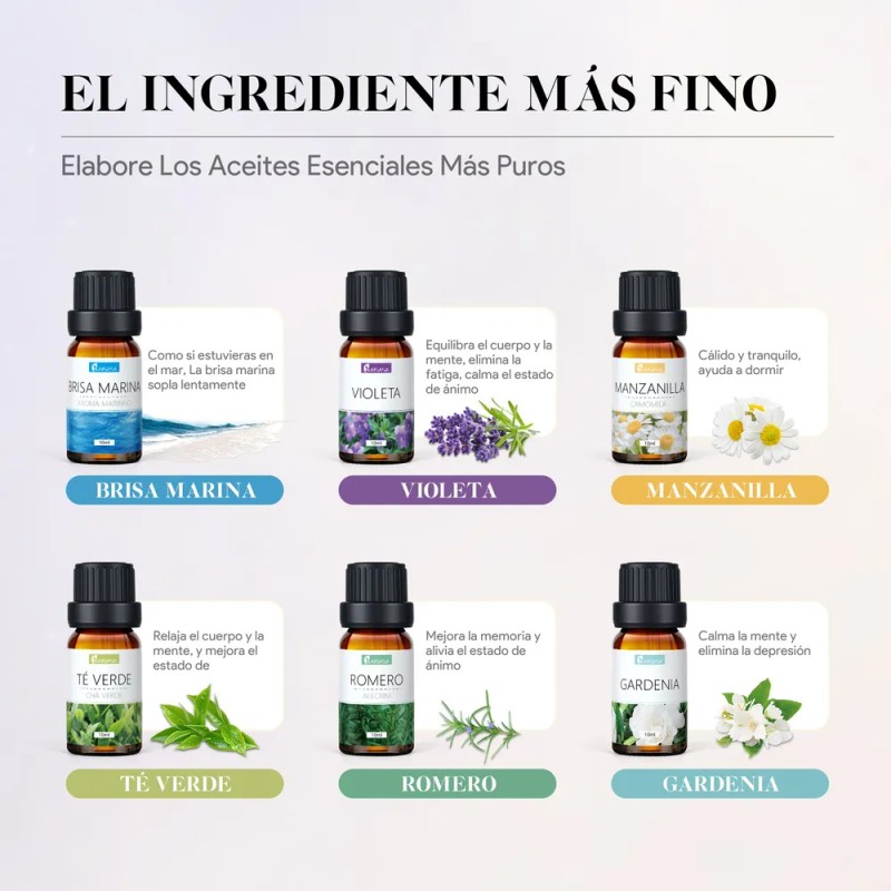 Kaisasa Kit De 12 Aceites Esenciales Aromaterapia Natural Estilo B