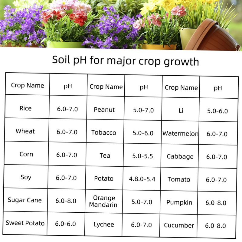 2 in 1 Soil PH and Moisture Meter Pointer Soil