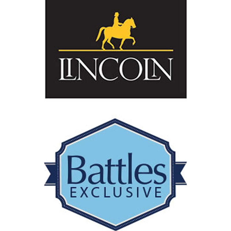 Lincoln mitt A Rubber Grooming Aid In The Form Of