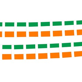 HIXNUG 2Pcs Irish Flag Bunting Rectangular Double Sided Irish Bunting Banner St Patrick's Day Decorations Event Banner