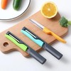 Halsgroves of Devon Fruit and Vegetable Peeler Fruit and Vegetable