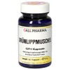 Gall Pharma Green-lipped Mussel GPH Capsules Pack of 180
