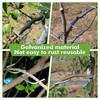 LXYYDS Pack of 30 Branch Separators for Fruit Trees, (8/10/13
