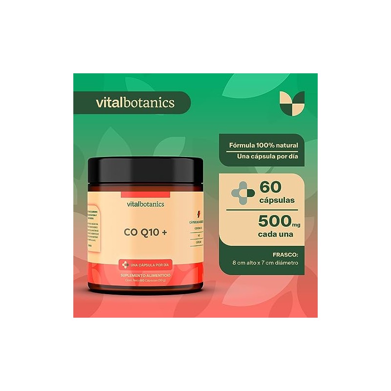 Coq10 Coenzima Q10 Ajo Cúrcuma Cápsulas 500mg Meses Vitalbotanics Suplementos