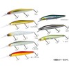 DAIWA STEEZ Minnow 110F MR Special Shiner