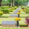 CUQRY Cemetery Flowers 18 Yellow Silk Memorial Rose Flower for