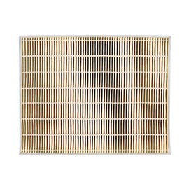 Panasonic Replacement Micro Particle Filter FY-FDD2519AC