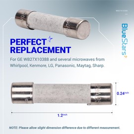 [New Upgrade] BlueStars Microwave Fuse 20A Ceramic Fuse 20 Amp 250V Slow-Blow - Compatible and Universal Replacement for WB27X10388 GE Whirlpool Kenmore and Other Microwave Ovens - Pack of 5