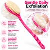 2-in-1 Long Handle Bath Brush with Soft Loofah & Bristles,