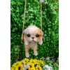 Lifelike American Bulldog Puppy Dog On Branch Swing Hanger Wall