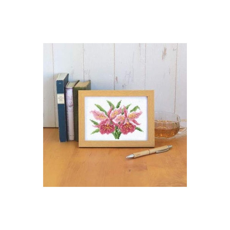 Olympus Thread Embroidery Kit '12-Month Flower Frame January Cattleya Marie
