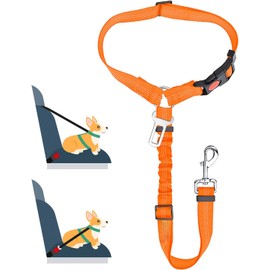 Charming Decor Dog Seat Belt, Pet Seat Belt, Car Dedicated Lead, Driving Seat Belt, Passenger Seat, Prevents Popping Out, Stretchable, Adjustable Length (Orange)